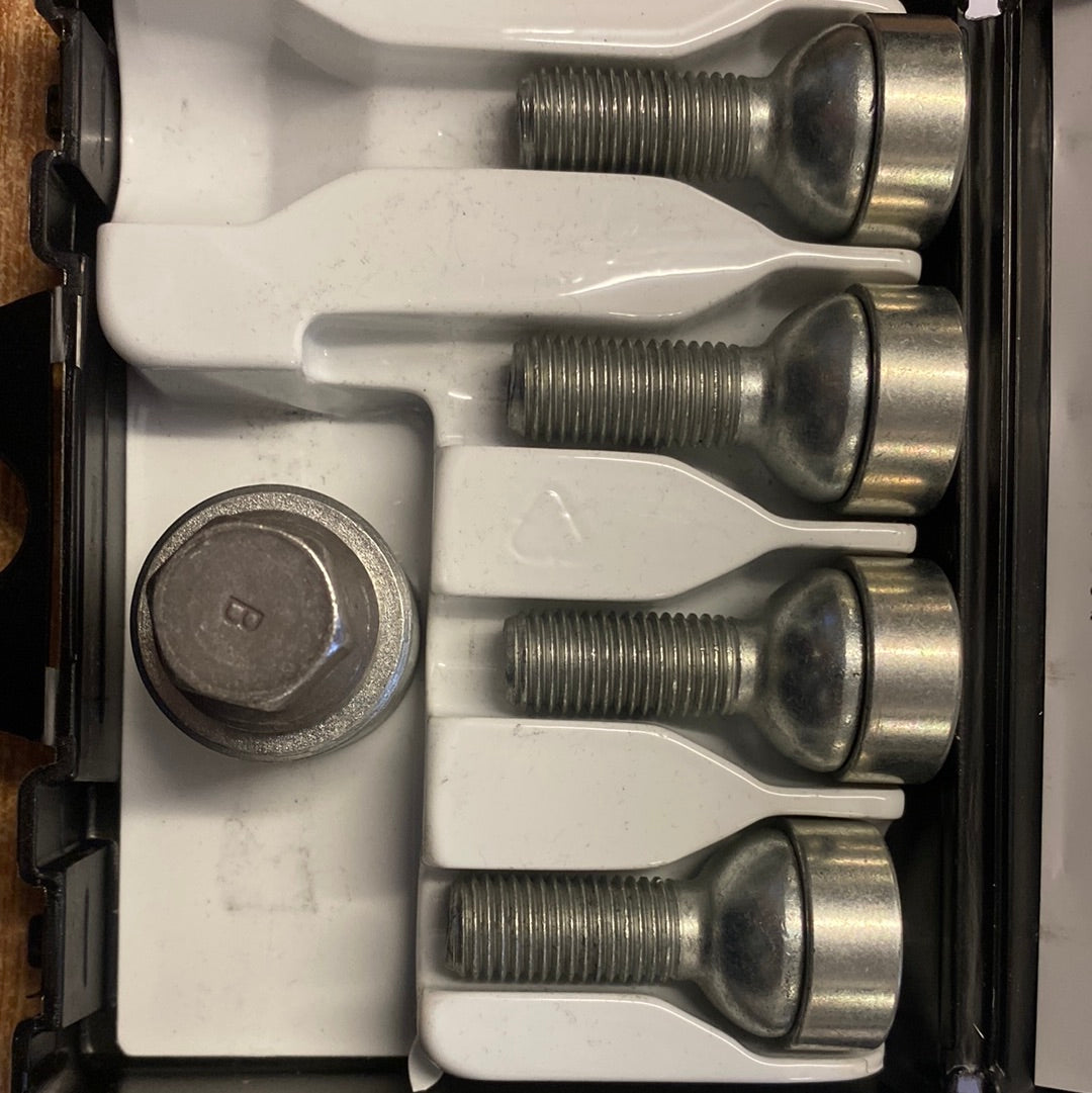 SAS Locking wheel nut set
