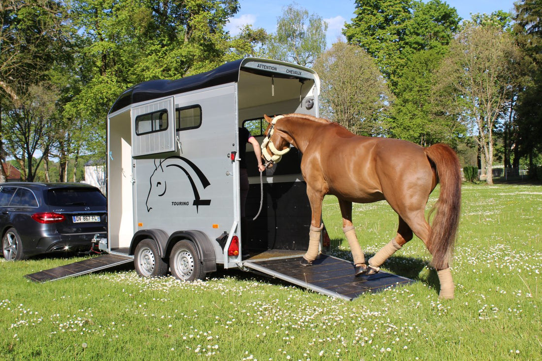 Cheval Touring One single horse trailer with rear ramp open.